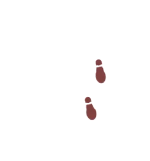 歩み