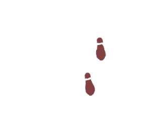 歩み
