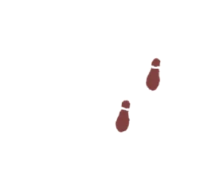 歩み
