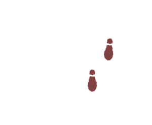 歩み