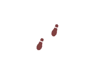歩み